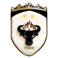 Yushu Yak