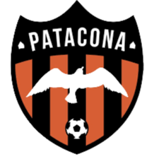 Logo Patacona CF U19