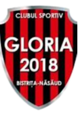 Logo Gloria 2018 Bistrita Nasaud Women