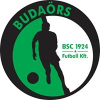 Logo Budaorsi SC Women