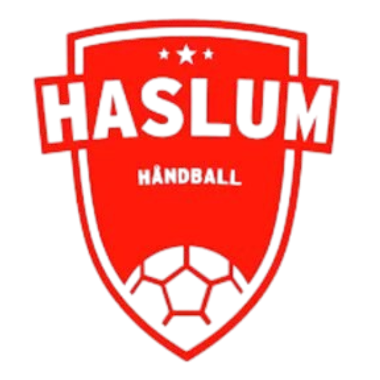 Logo Haslum U19