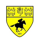 Logo Newmarket Town