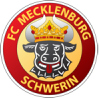 Logo FC Mecklenburg Schwerin