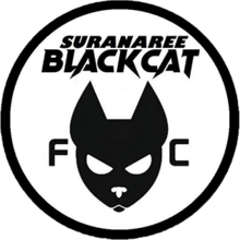 Logo Suranaree Black Cat