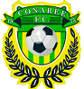 Logo Conaree United
