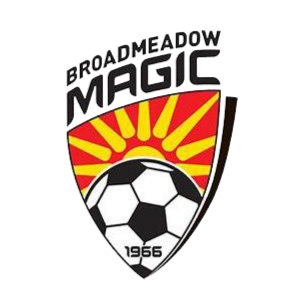 Logo Broadmeadow Magic