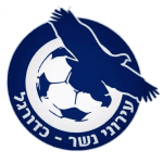 Logo Ironi Nesher
