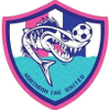 Logo Northern Tak United