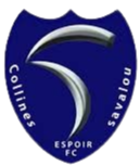 Logo Espoir FC Savalou