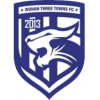 Logo Wuhan Three Towns U15