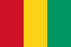 Logo Guinea U20