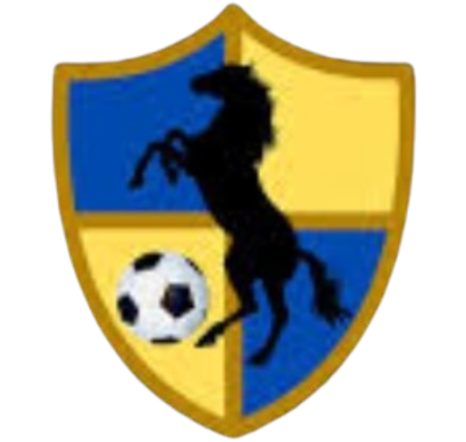 Logo Racing United